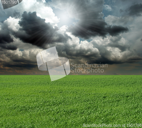 Image of green grass and blue cloudly sky