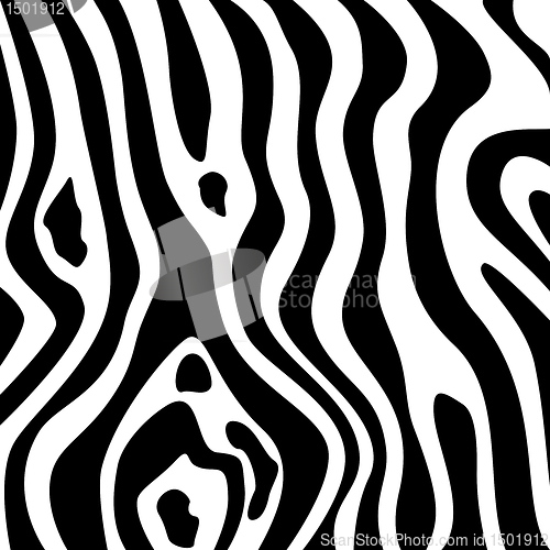 Image of Zebra texture black and white