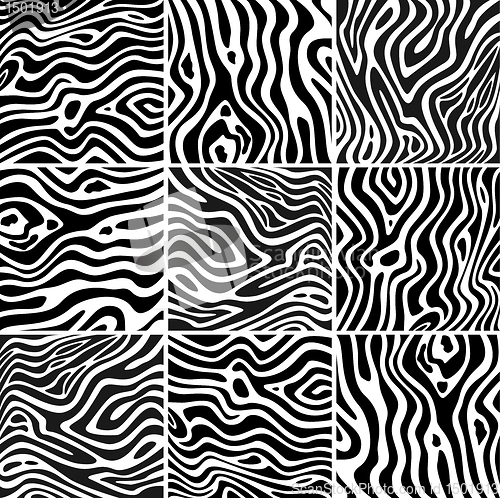Image of Set zebra texture black and white