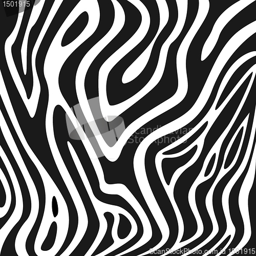 Image of Zebra texture black and white