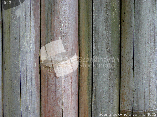 Image of Bamboo Fence