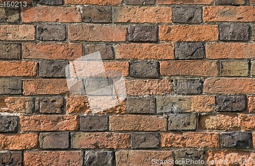 Image of Flemish bond brickwork