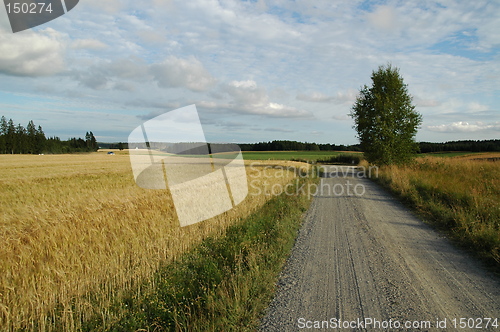 Image of Country road