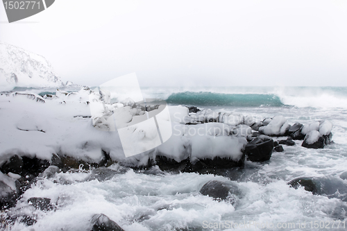 Image of snow and ice around ocean