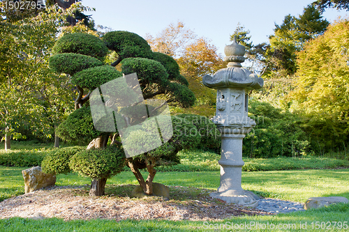 Image of Stone Lantern and Pruned Bonsai Tree at Japanese Garden