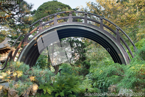 Image of Curved Wooden Bridge at Japanese Garden