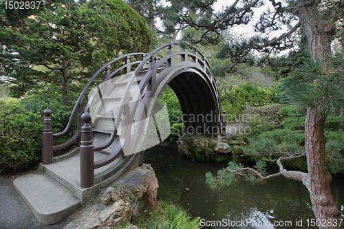 Image of Wooden Bridge at Japanese Garden in San Francisco 2