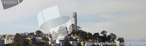 Image of Coit Tower on Telegraph Hill Panorama