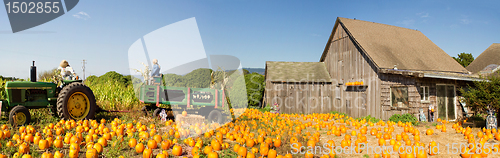 Image of Pumpkin Patch Farm House with Halloween Decoration