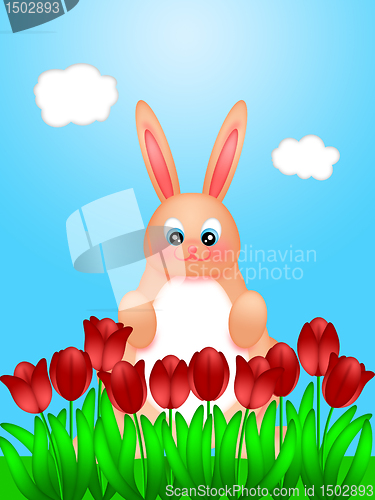 Image of Happy Easter Bunny Rabbit on Field of Tulips Flowers