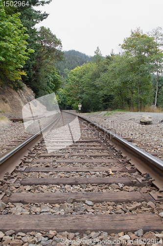 Image of Railroad Tracks Vertical