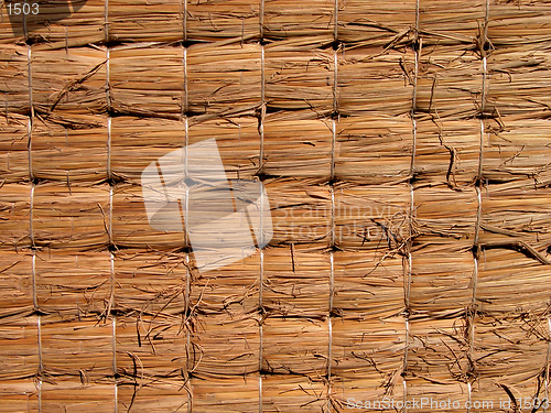 Image of Tatami Texture