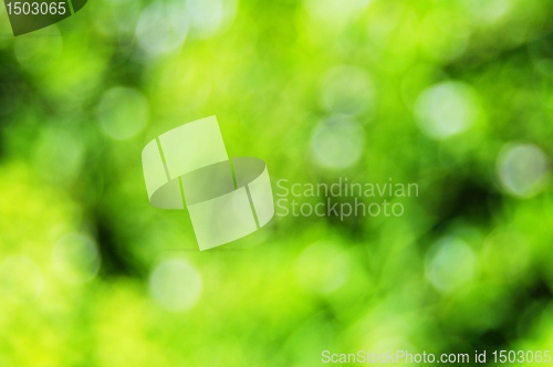 Image of green bokeh background