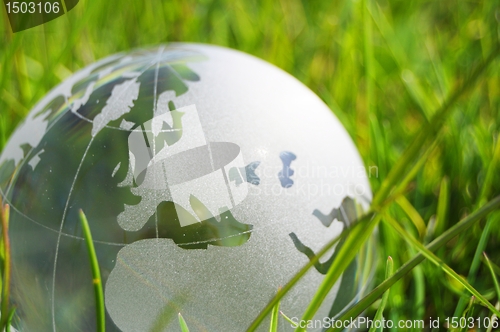Image of glass globe or earth in grass