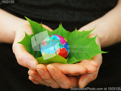 Image of hand holding globe