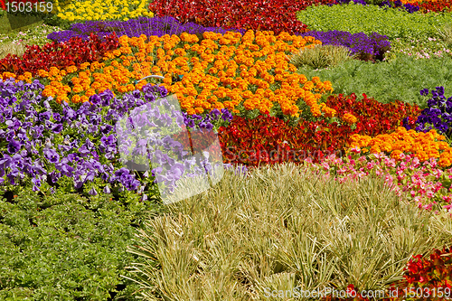 Image of Nursery Potted Garden Plants Arrangement