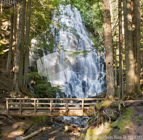 Image of Ramona Falls by the Wooden Bridge in Oregon