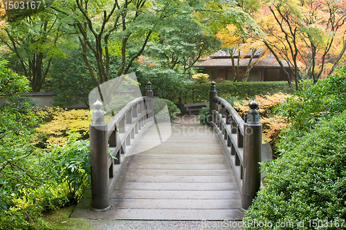 Image of Wooden Foot Bridge in Japanese Garden