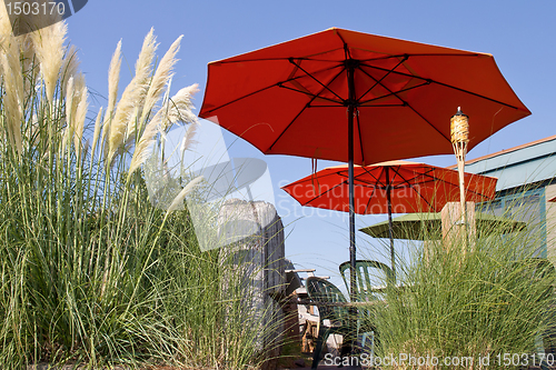 Image of Backyard Waterfront Living