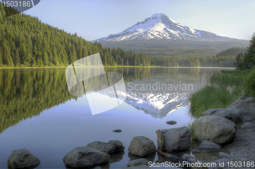 Image of Mount Hood Reflection on Trillium Lake