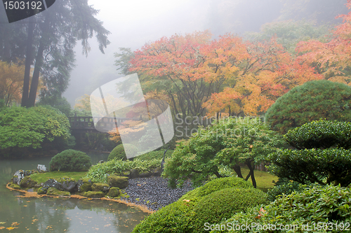 Image of Foggy Morning at Japanese Garden by the Pond