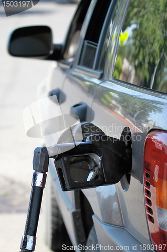 Image of Pump Filling Up the Car Gas Tank