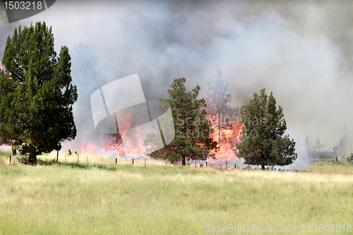 Image of Lightning Strike Fire on Farmland