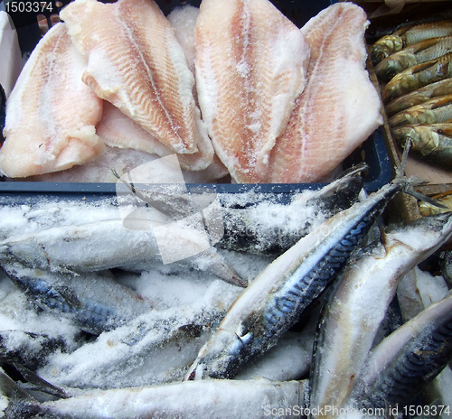 Image of frozen fish