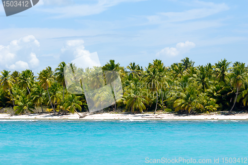 Image of Island with beautiful beach