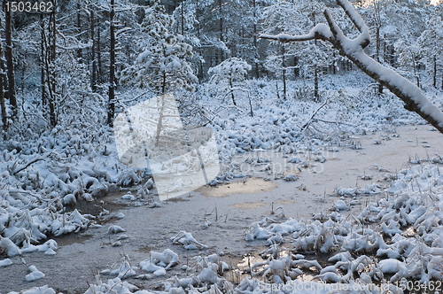 Image of winter landscape in the forest 