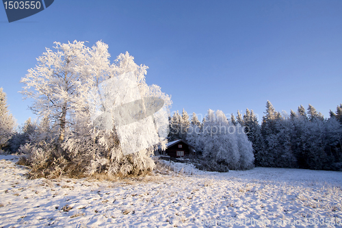 Image of Winter landscape