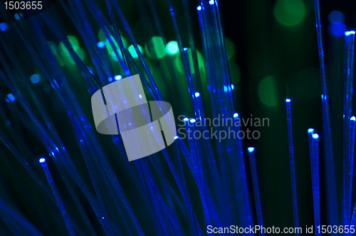 Image of Optical fibers