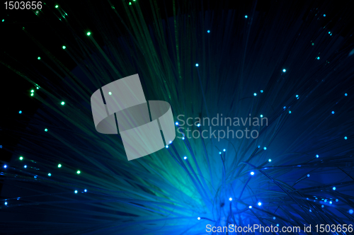 Image of Optical fibers