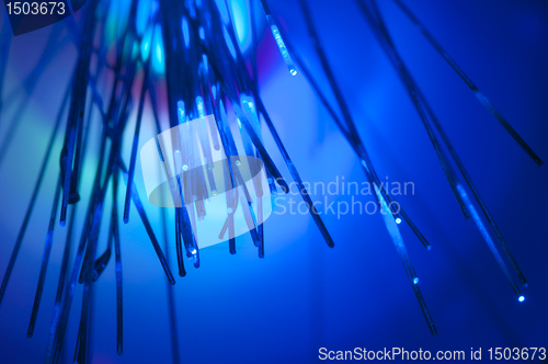 Image of Optical fibers