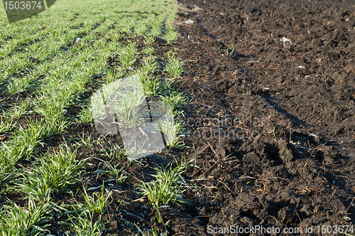 Image of Ploughed field