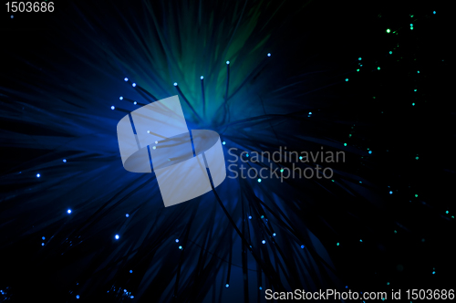 Image of Optical fibers