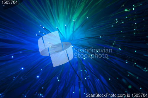 Image of Optical fibers