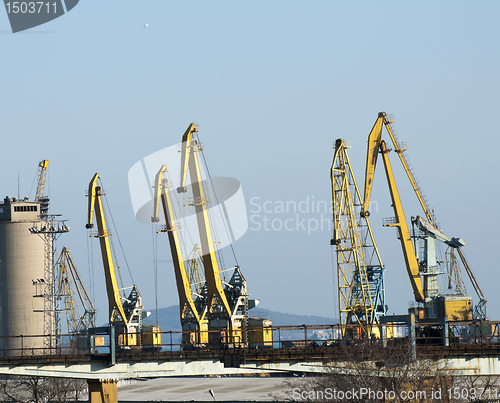 Image of Commercial port cranes