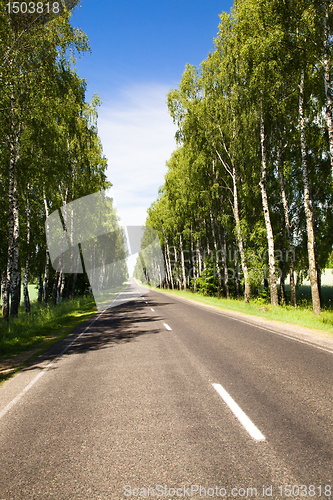 Image of The asphalted road