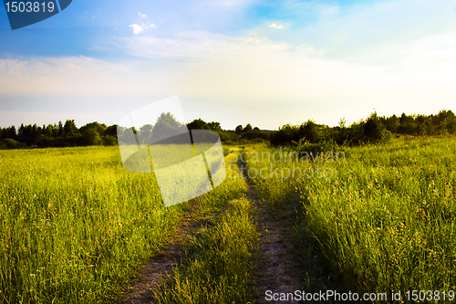 Image of Road in the field