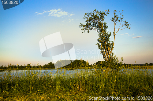 Image of The nature