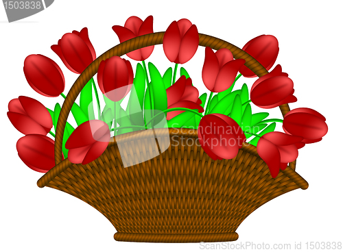 Image of Basket of Red Tulips Flowers Illustration