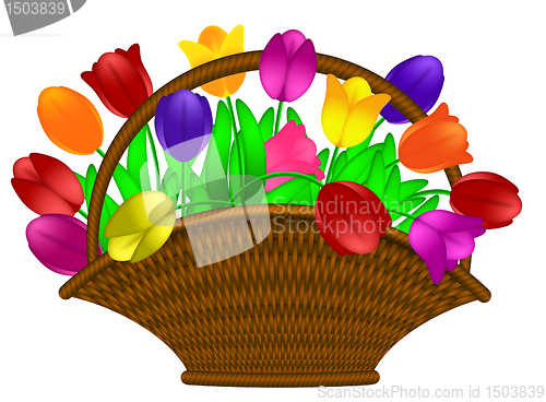 Image of Basket of Colorful Tulips Flowers Illustration