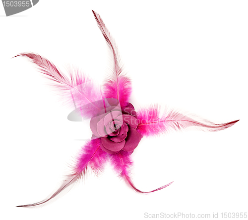 Image of Pink rose fabric with feathers