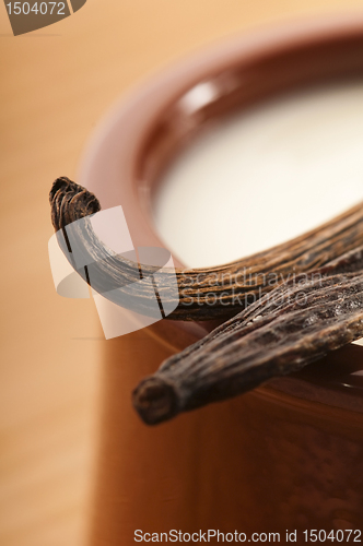 Image of Sweet vanilla pudding dessert 