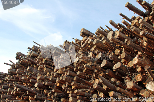 Image of Wood Fuel against Blue Sky