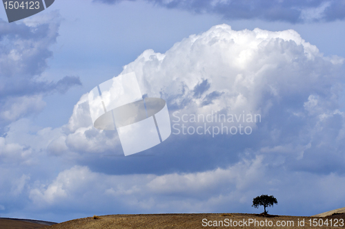Image of landscape of Apulia Italy