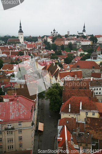 Image of Estonia, Tallinn, Old Town. top view