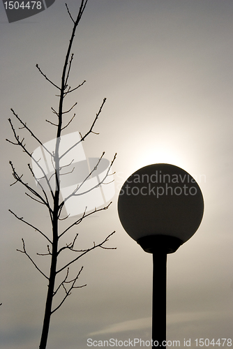 Image of Street lamp and tree