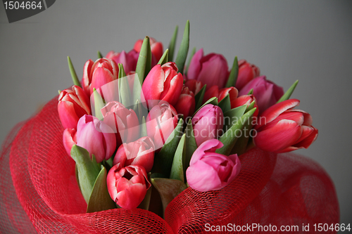 Image of bouquet  of tulips 